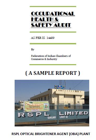 Industrial-OHS-Safety-Audit - Scope & Methodology