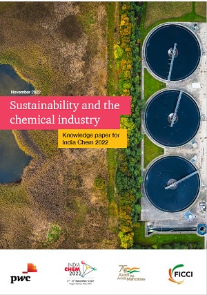 Sustainability and the Chemical Industry