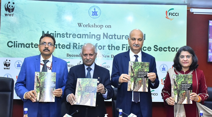 Workshop on Mainstreaming Nature and Climate-related Risks for the Finance Sector